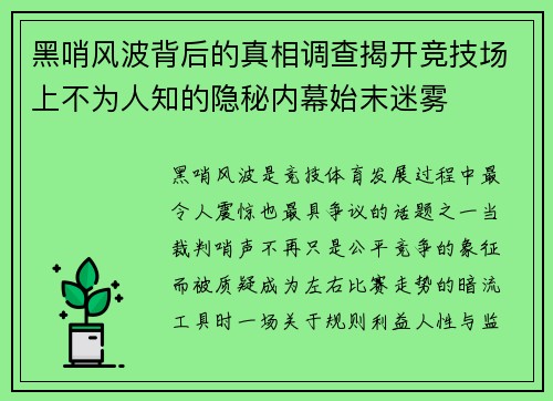 黑哨风波背后的真相调查揭开竞技场上不为人知的隐秘内幕始末迷雾